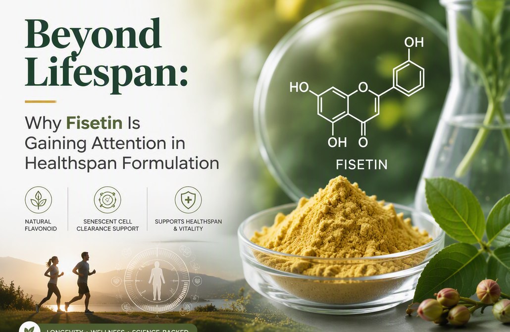 Beyond Lifespan: Why Fisetin Is Gaining Attention in Healthspan Formulation