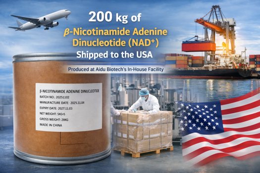 Aidu Biotech Ships 200 kg of β-NAD⁺ to the U.S., Backed by In-House Manufacturing