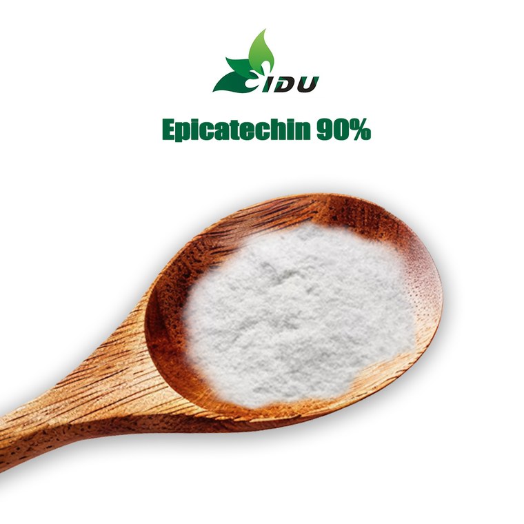 Green Tea Extract Epicatechin 90% Min HPLC