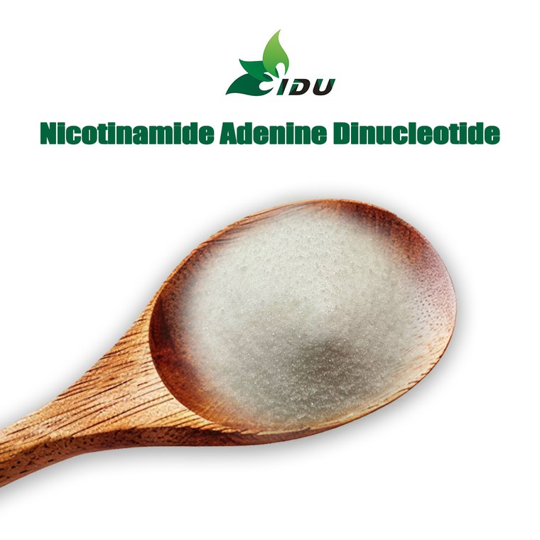 Nicotinamide Adenine Dinucleotide (NAD)