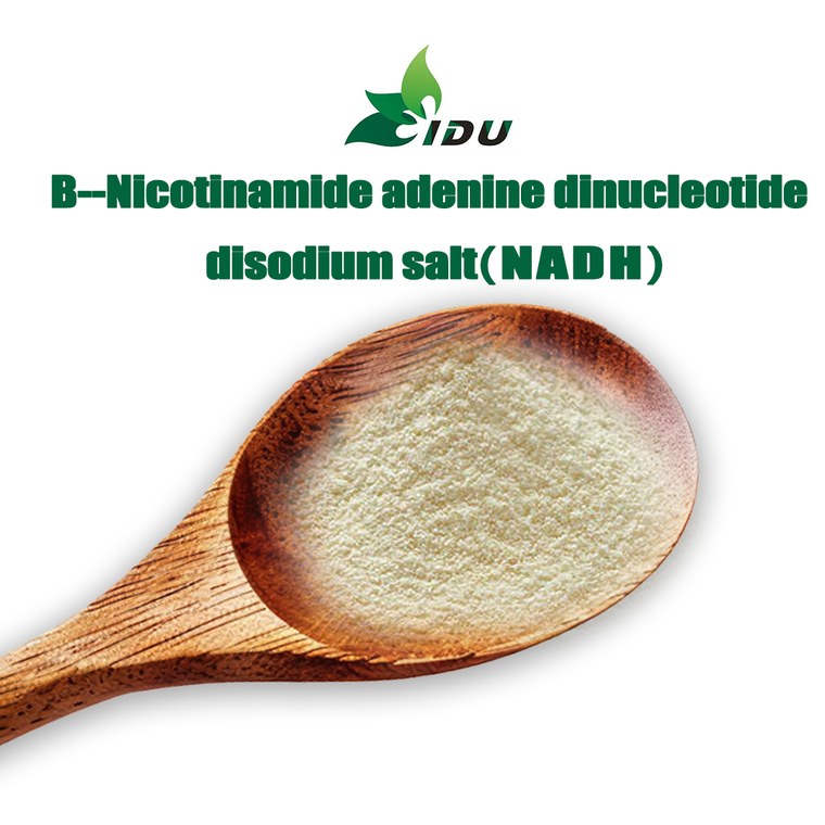 β-Nicotinamide adenine dinucleotide disodium salt (NADH)